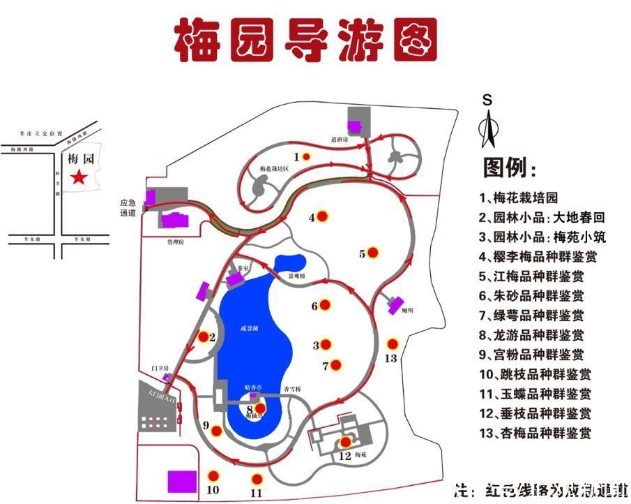 错过|快来一起赏“梅”景！去年没约成，今年别错过啦