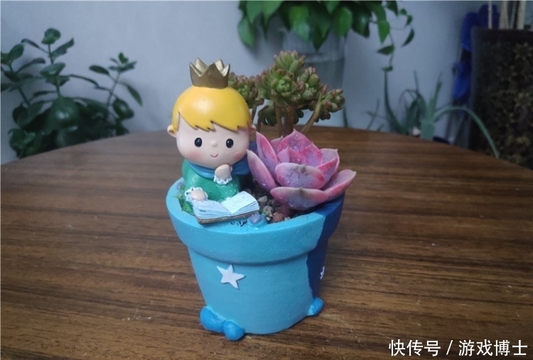 一肉一世界,一方一净土