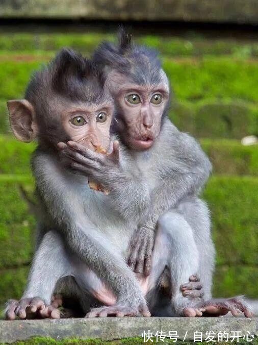 |「被窝段子20220131」生活嘛 慢慢来 所有的好运都在路上