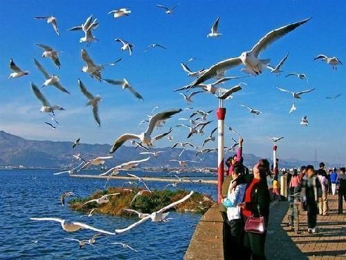 中年|我国最适合冬季出游的5座城市,三座在南方,几乎都被东北人占领