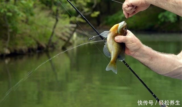 便宜|不是揭底,也不是排斥,我只想对网购便宜子线组说两句掏心窝子话