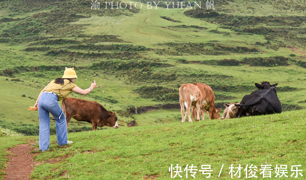 乌蒙山|游南方海拔最高的草原，感受凉都的盛夏清爽，品尝大山里的VC之王