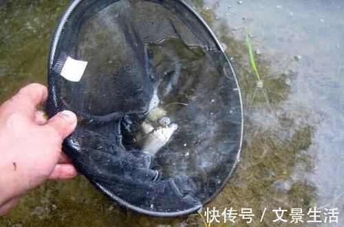 钓位|钓鱼人谴责别人的同时,也应该注意自己的这些行为