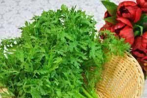 春天免疫力差，堅持吃的食物，嫩膚排毒，活血益氣，吃了更年輕