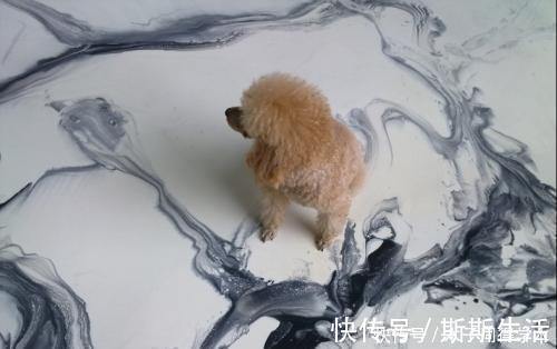 瓷砖|原来水泥地这么漂亮,难怪很多人不装瓷砖和地板了,简直太土了