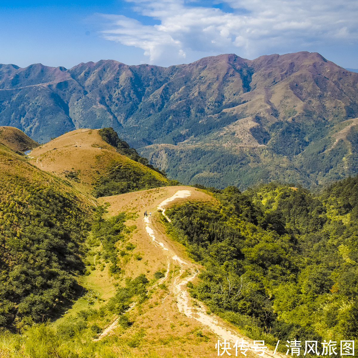 景色|景色迷人、没有门票的景区：阳春鸡笼顶，广东的万亩高山大草原