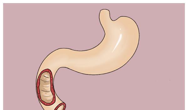 爸妈|寒从脚底生,是真的吗?关于夏季养娃的科普,很多爸妈知道的太晚