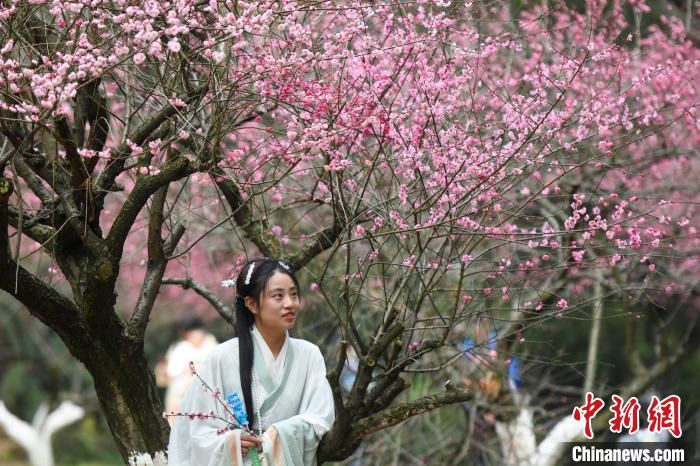 赏花|长沙气温回暖市民踏春赏花
