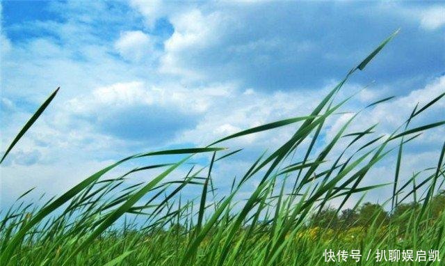 “青青河畔草”，后半句并不是“悠悠天不老”，原句的意境更美