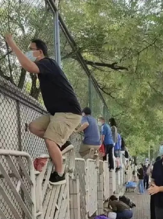 专注力|神兽“回笼”!家长新学期需要注意这一点,否则影响孩子未来