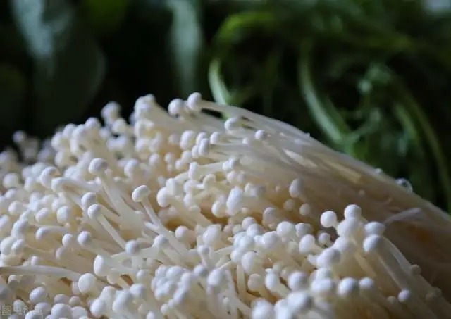 杏鲍菇|9大常见蘑菇菌类的最佳吃法，这么做比肉还香！