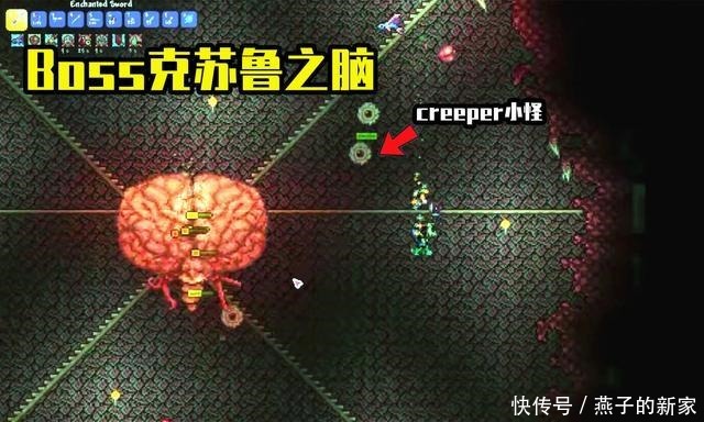泰拉瑞亚全部商人名字