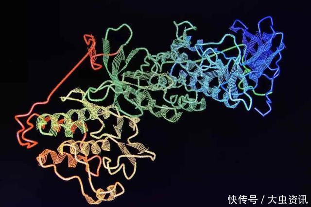 毒药 不只是氧气,雄激素或许也是一种“慢性毒药”