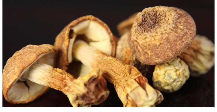 hpv病毒|医生提醒：宫颈癌并非悄无声息，若有3个异常，十有八九是HPV