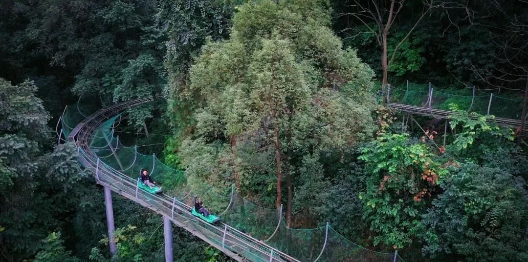 巴南博物馆|巴南居然有这么多宝藏景点，不愧是重庆周边游的好去处！