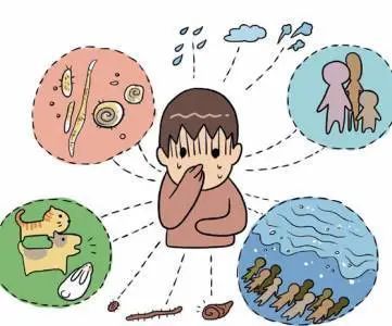 肠道传染病|应对台风灾害 做好健康防护