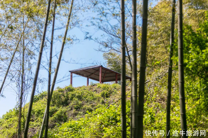 春游记｜穿越宜兴竹海，徒步挑战苏南第一峰