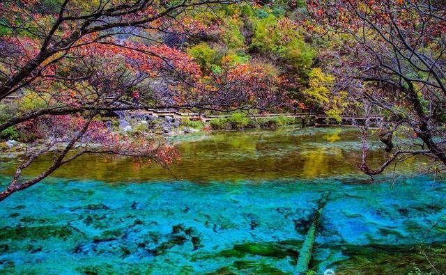 焦距|九寨沟名扬四海，但不适合走马观花，请跟随镜头仔细看看