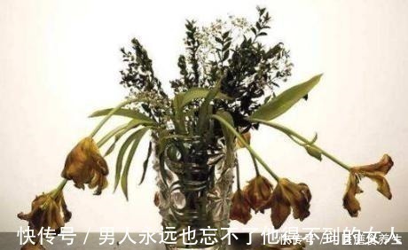 花木|家里有没有甲醛,以下变化要留心,一经发现需立即除醛!