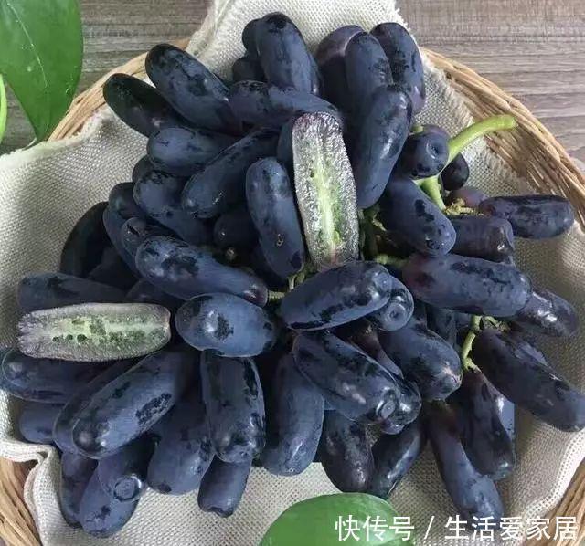 玉米|别种洋葱玉米了,此树我国“独有”,插土就活,种2棵收果10麻袋