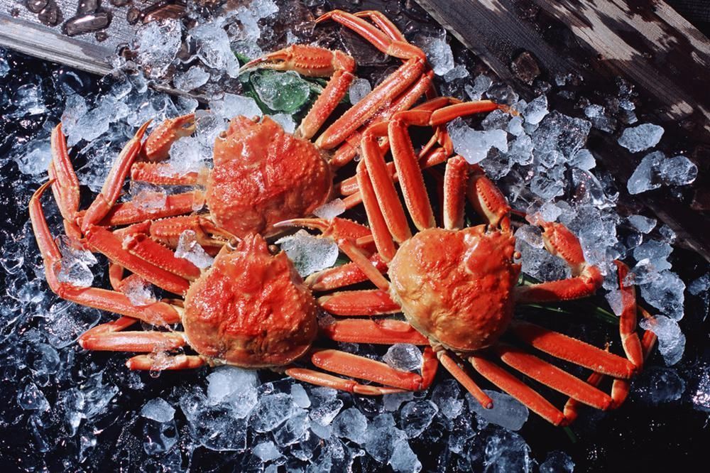 孕妇|孕期“吃肉”禁忌：怀孕后，想要母子平安，请避开这5种肉类！