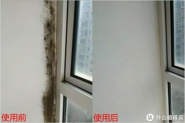 收纳|建议大家：不论多节俭，这6件家居用品能扔就扔，真的不用心疼