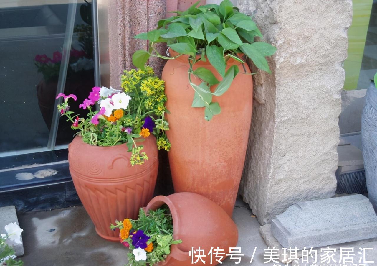 浇水|想要养好花先要养好根，根养好了，花儿才能长得旺，开花多