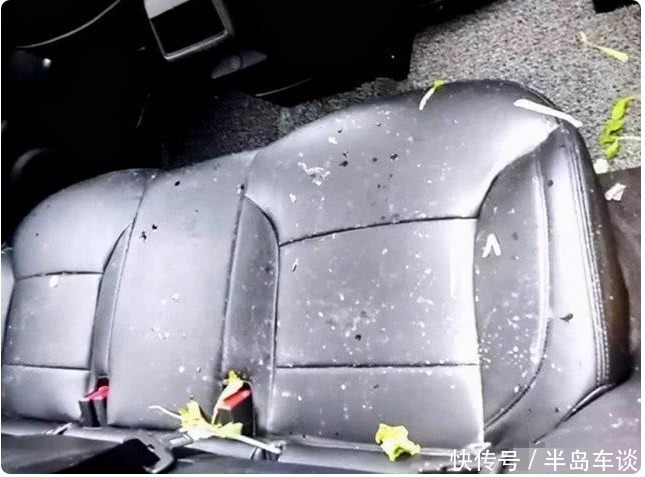 小树林里|共享单车“黄了”,车内一片狼藉,集体被扔小树林