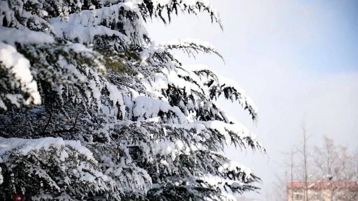 鲁东大学这场雪！太！大！了