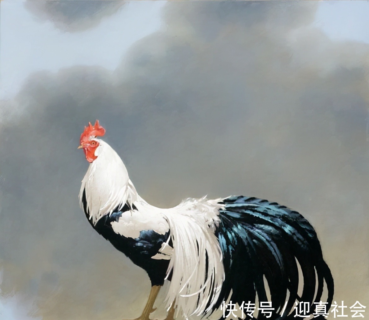 用色&画用笔干净利落 用色清雅疏朗又不失高贵 更可贵的是具有强烈的构成意识和形式感