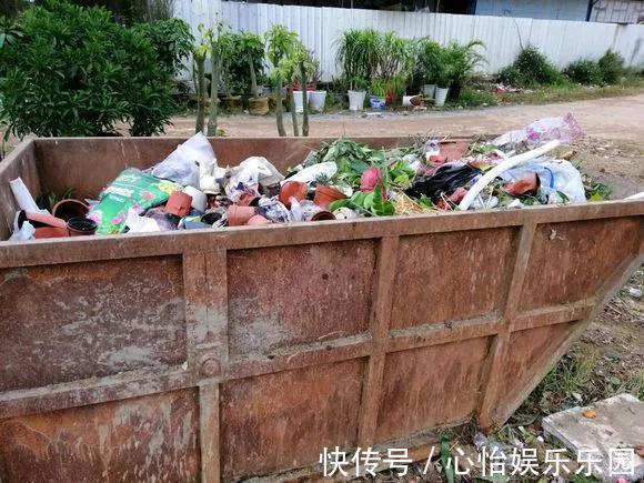 路边一堆“名贵花”,丢人也要捡,捡回家养2个月就开花!