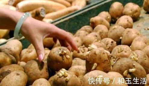 食用禁忌|含有毒素的五种蔬菜,是餐桌上的“常客”,食用禁忌须了解