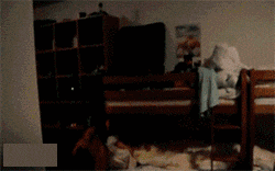 |搞笑GIF:本以为是郎才女貌 怎料想是狼心狗肺