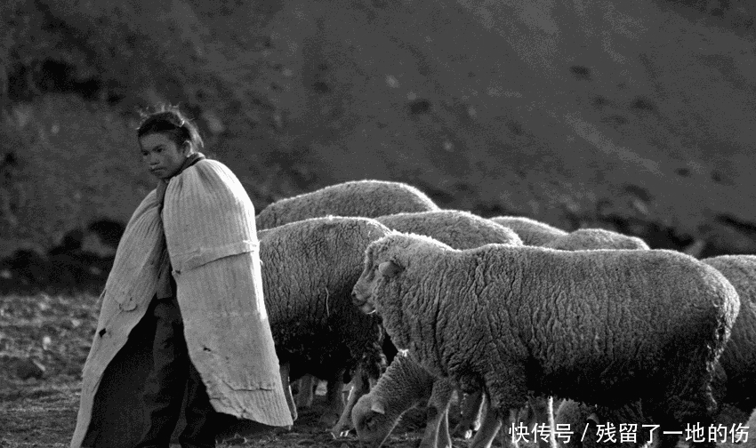 宝藏|放羊娃发现日本所藏宝藏,专家:还好及时发现,不然将有巨大隐患