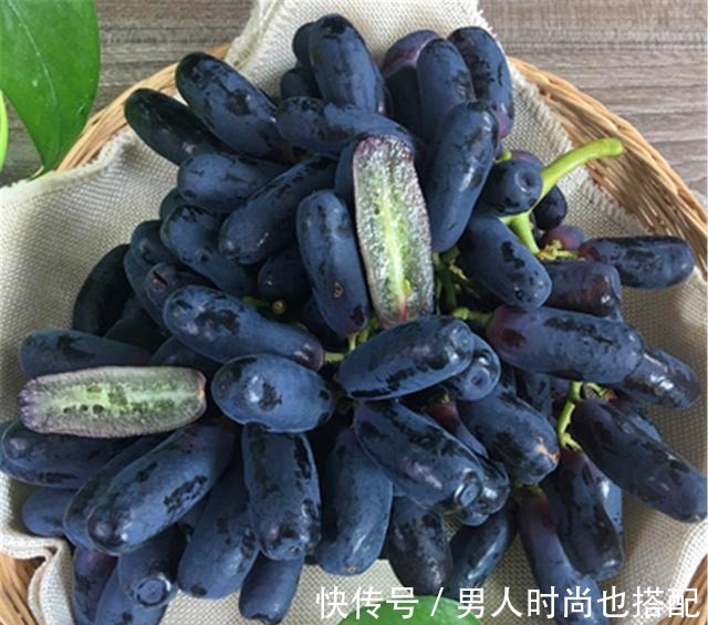 家有院子别空着,有多少种多少,耐寒耐旱,而且吃不完!