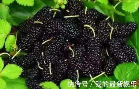 减肥|冬天养生正当时，3种食物要常吃，减肥瘦身，不妨一试