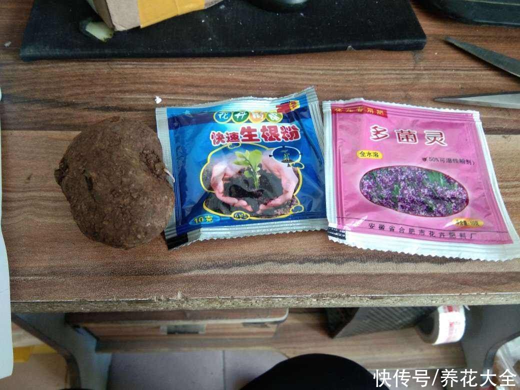 换下来的旧土别扔掉,拌上多菌灵灭菌,还能继续养花