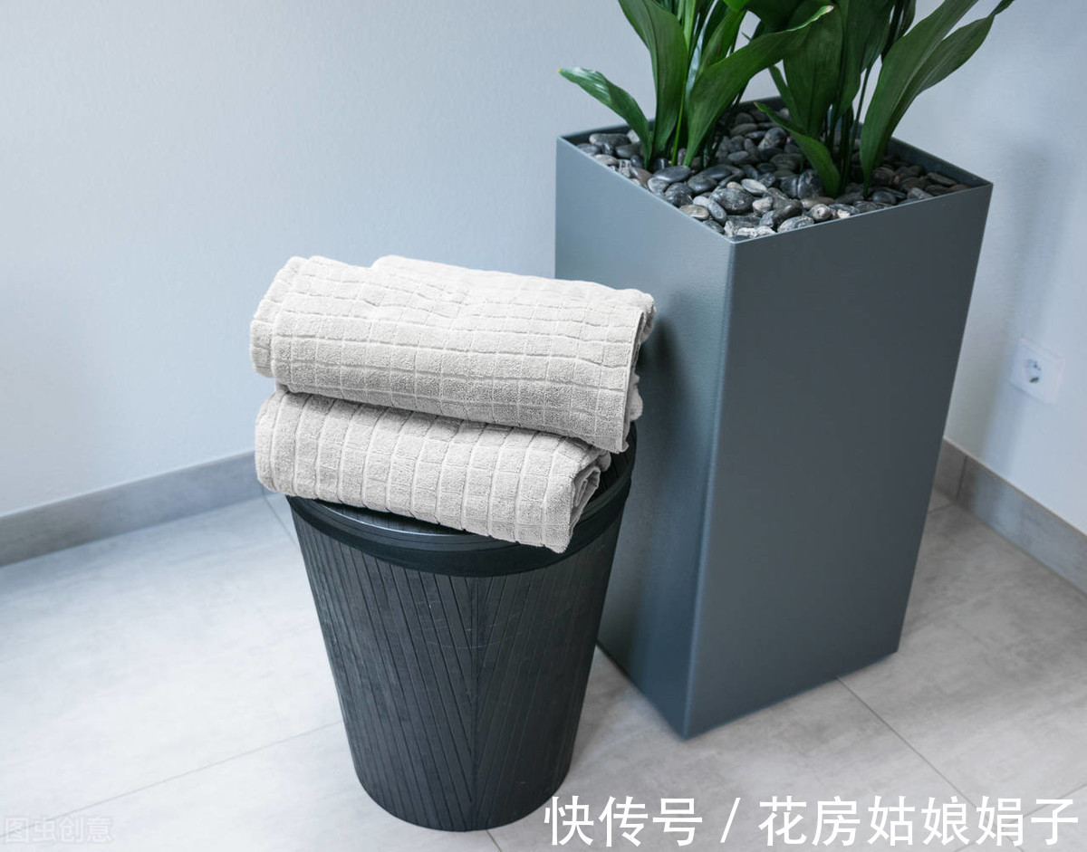 绿植|天热了，卫生间异味遮不住？养上一盆它，异味去无踪，为你解忧
