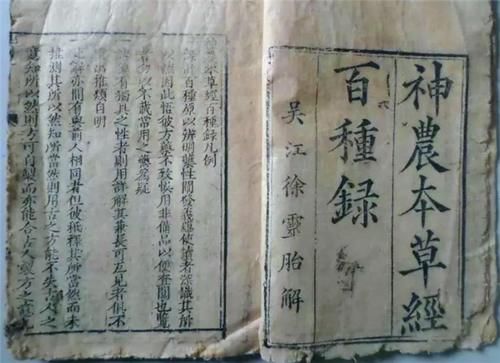  古时期人们|“可远观，而不可亵玩焉”：做菜、加工，古人“吃莲”好处多多