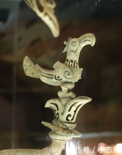 母猴|"1个杯子卖了2亿,2只猴子卖了3亿,这个瓶子卖了5亿,网友:值了"