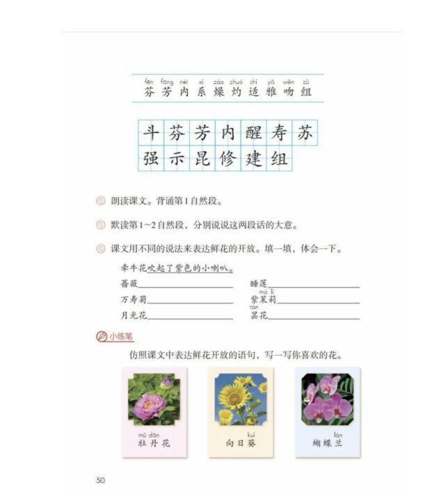 语文三年级（下册）课堂笔记