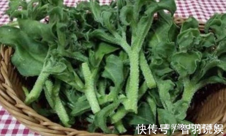 油麦菜|想长寿全靠吃,以下蔬菜不错过,排毒养颜、润肤美容!