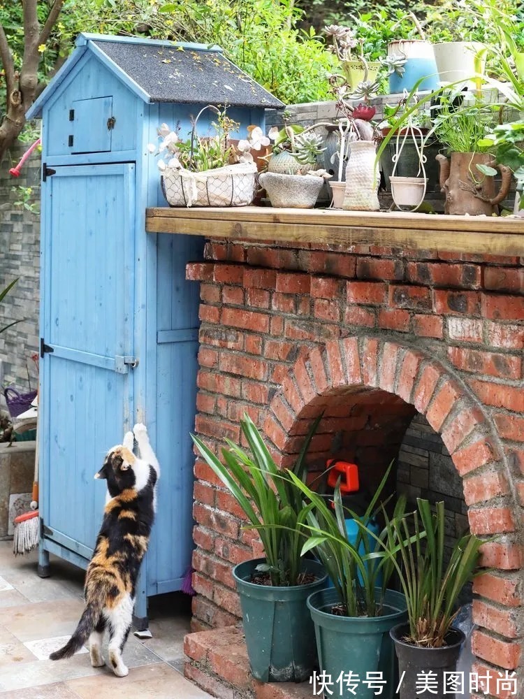 薇月|四年前,接手了朋友带120㎡院子的房子,打造成花园后朋友羡慕了