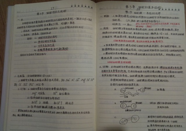 学霸|学霸和学渣有什么差别?看完课堂笔记对比图,差距一目了然