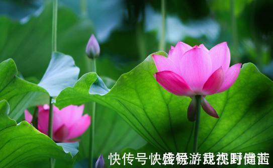 一身正气#真正有本事的人,为人处事时都有以下几个特点,值得交往