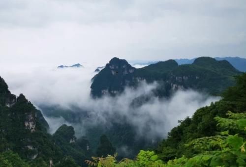 春日漫游，醉在油杉河的山河长卷里