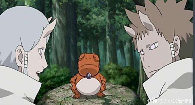 妙木山|火影妙木山的蛤蟆丸一直被我们忽视,不知道他是怎样的存在