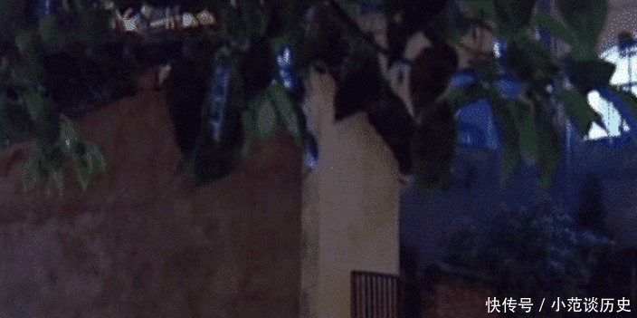 哭声|停尸房传来婴儿哭声,男婴被弃6天靠雨水存活,让人心疼