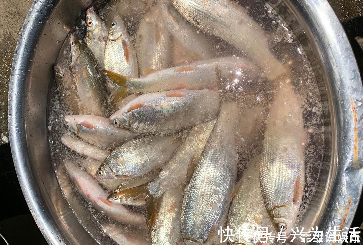 空竿|钓鱼时有口老打不到,会有哪些原因了解后可以帮你避免空竿
