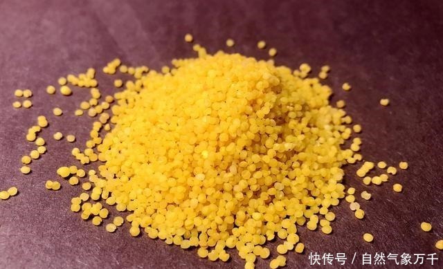 鱼情|都说酒米钓鱼好用,但学会搭配以后,这3种选择会上鱼更多